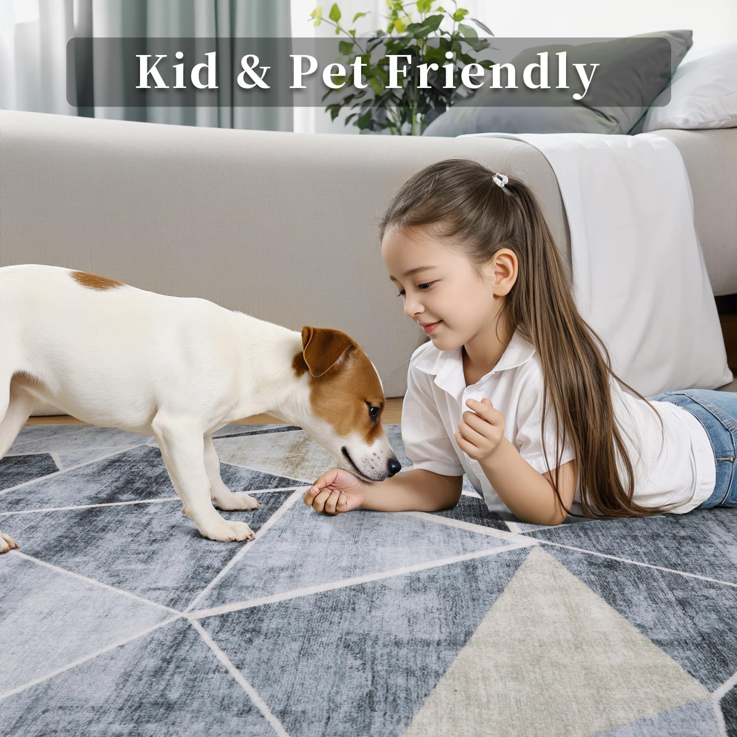 SERISSA Modern Abstract Washable Area Rug, 6'x9' Large Non-Slip Soft Low-Pile Floor Carpet for Living Room, Dining Room, Bedroom & Office – Contemporary Grey Decor